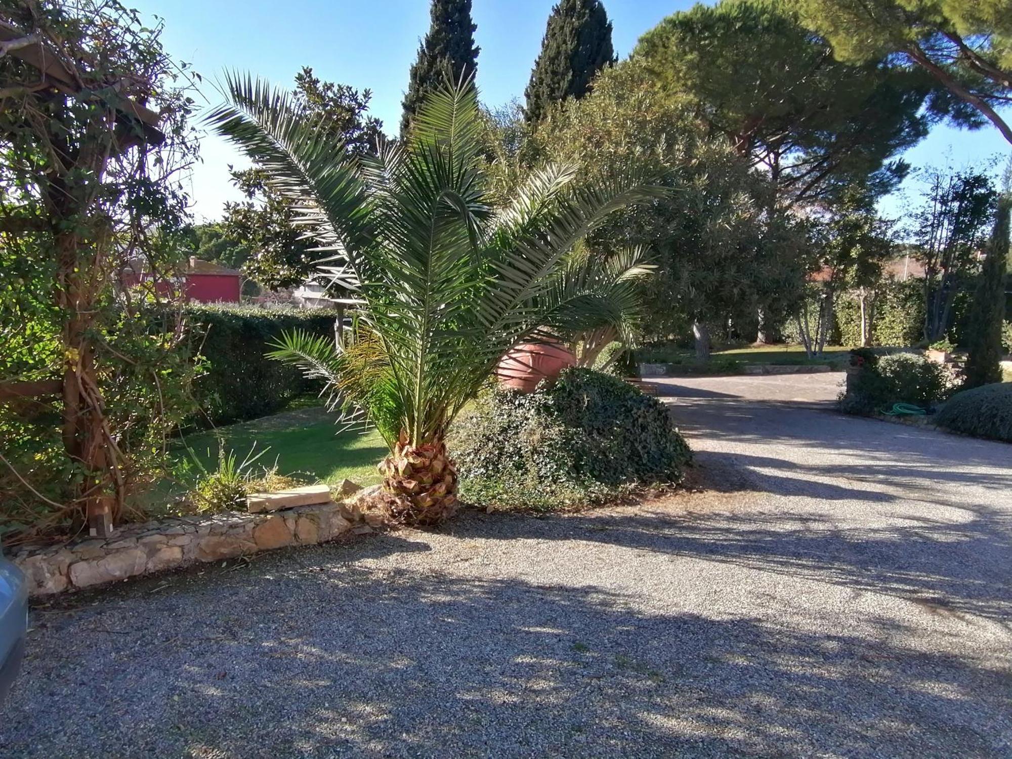 Affitti Brevi Toscana - Villa Simple Fonteblanda Esterno foto